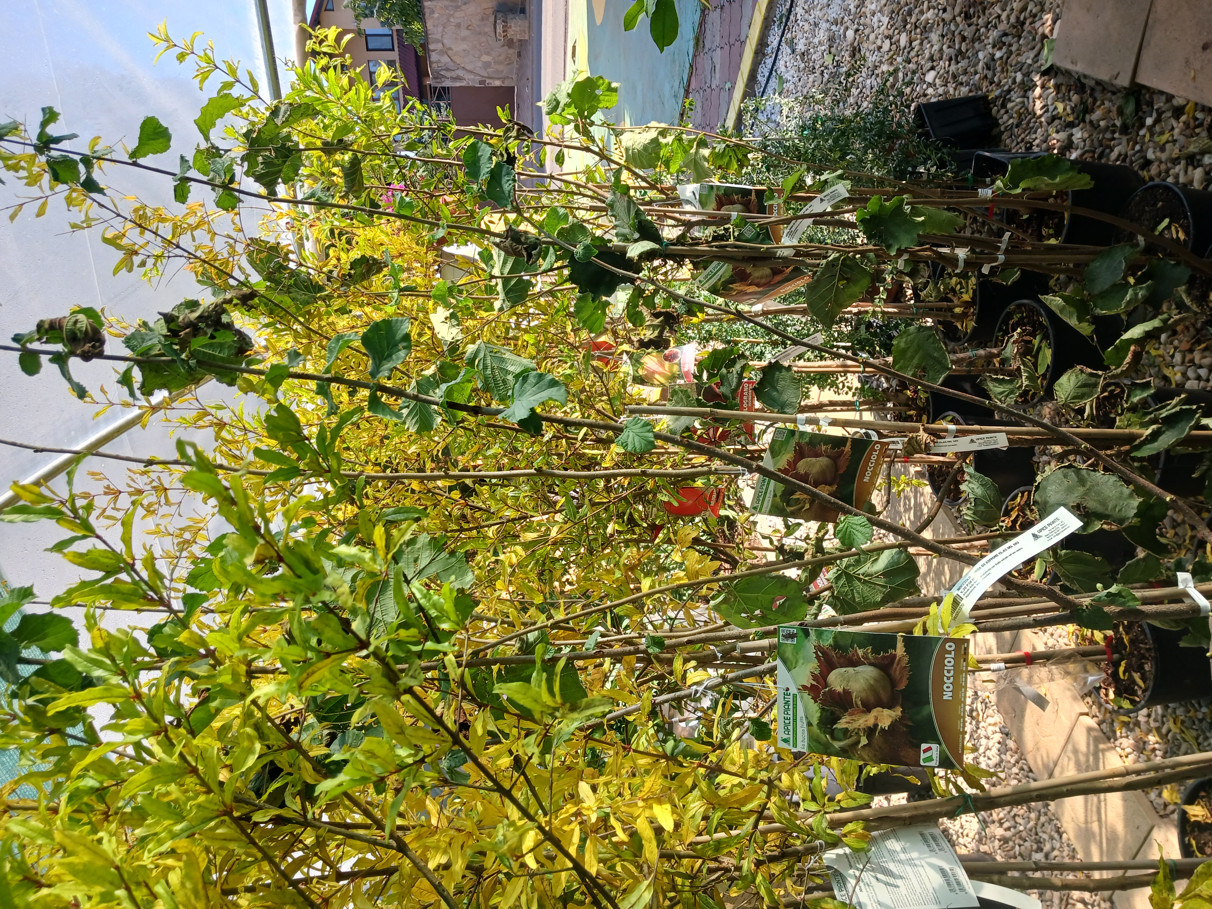 20241020_121428.jpg